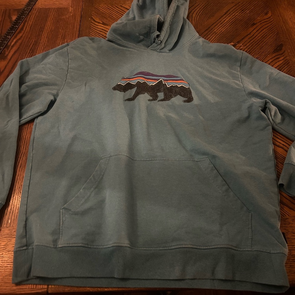 Patagonia Organic Cotton Bear Graphic Hoodie Pullover Sweatshirt Large Teal
